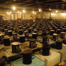 Моя планета