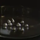 Университет Сиднея