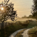 1 место Вечерняя тишина Мальцева Софья 15 лет МАУДО ДДТ г.Курчатов