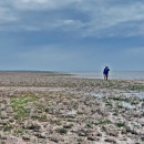 Осохшее дно Каспийского моря на севере острова Чечень