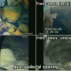 Embedded thumbnail for Кориум аварийного ядерного реактора АЭС Фукусима на камерах подводного робота