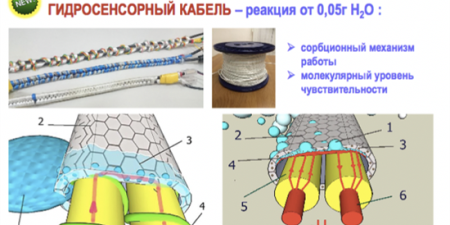 Сколково 