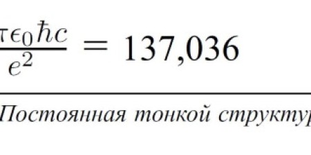 bioserge.ru 