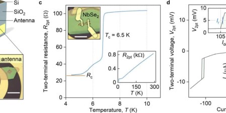 Kirill Shein et al., Nano Letters