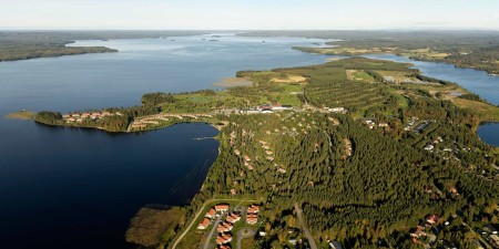 Яндекс