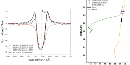 Kowkabany et al. The Astrophysical Journal (2024)