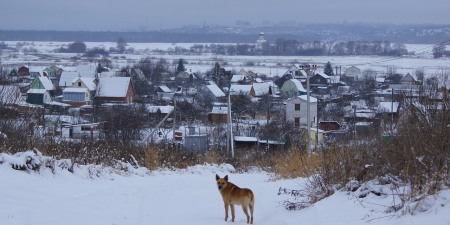 ЖЖ