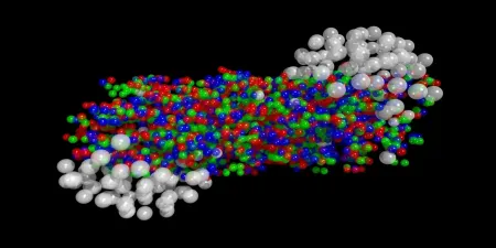 phys.org
