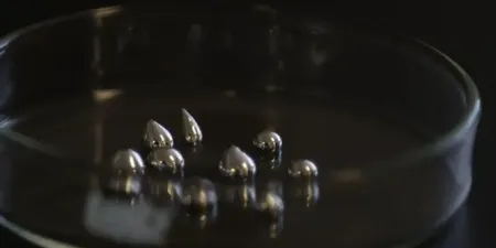 Университет Сиднея