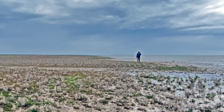 Осохшее дно Каспийского моря на севере острова Чечень